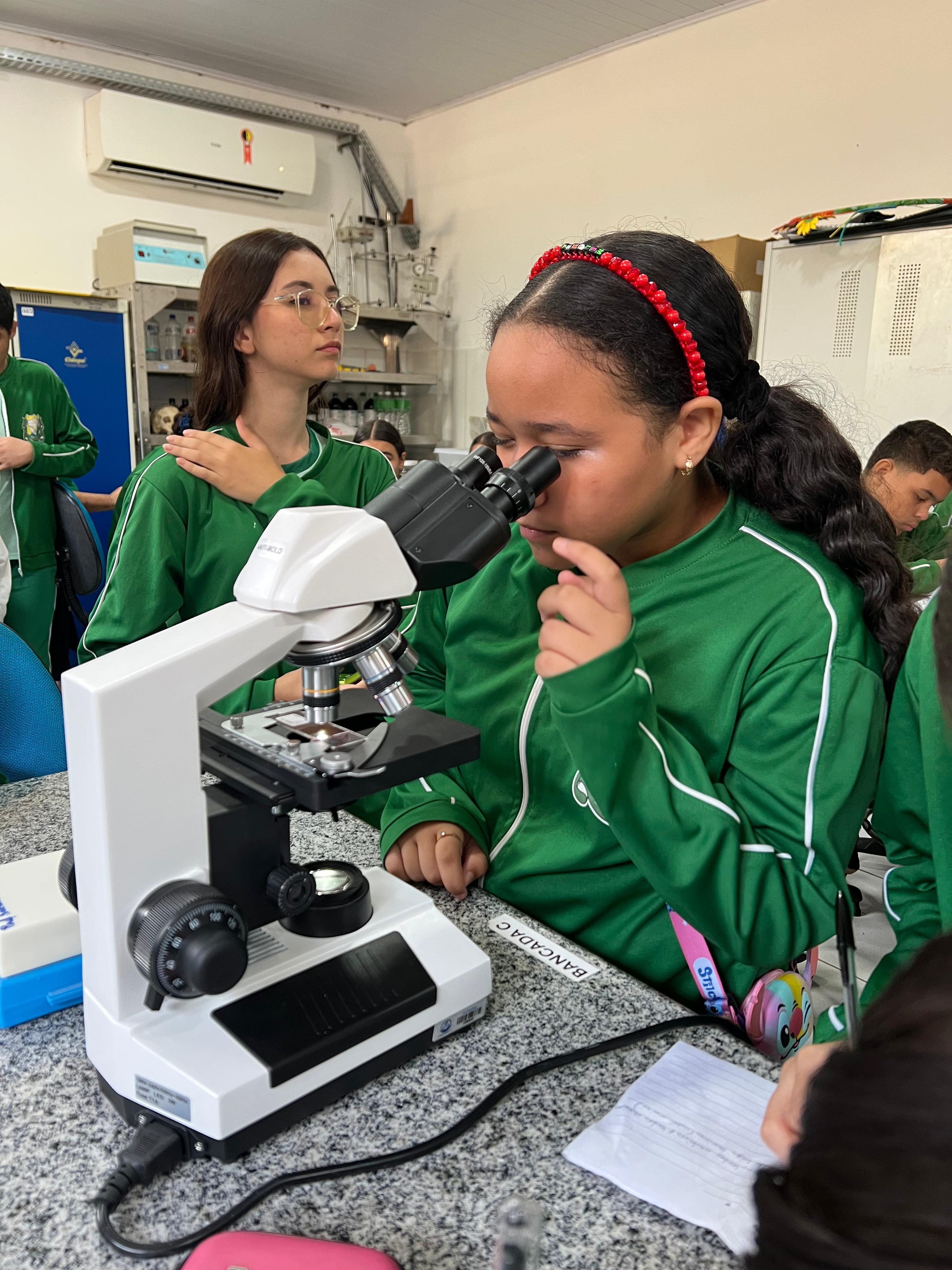 Observação de amostras