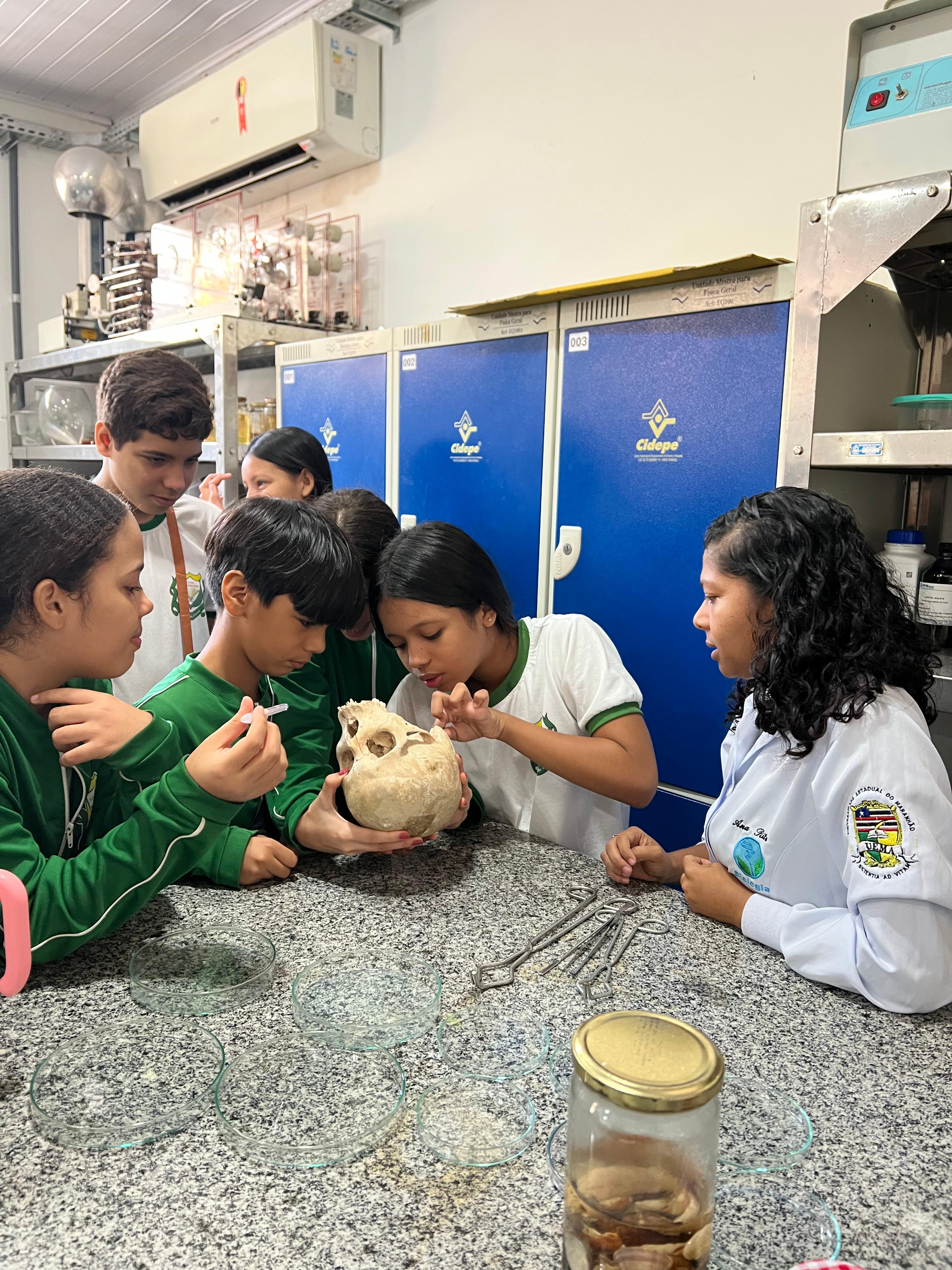 Explicação sobre microrganismos